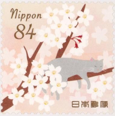 Cherry Blossoms and Cat