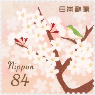Cherry Blossoms and Bird