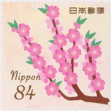 Peach Blossoms