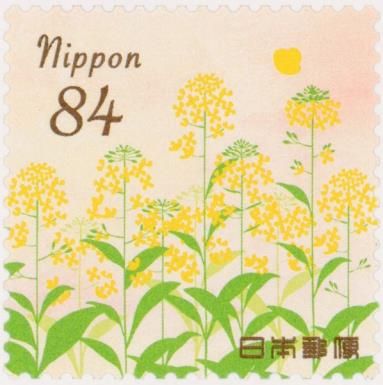 Rape Blossoms