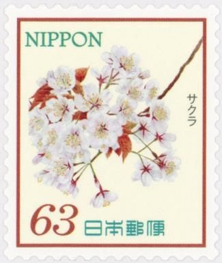 Cherry Blossoms