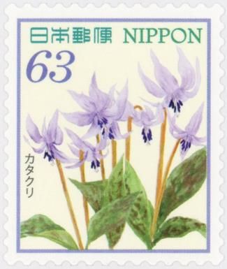 Asian Fawnlily (Erythronium japonicum)