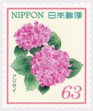 Bigleaf Hydrangea (Hydrangea macrophylla)
