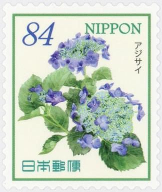Blue Hydrangea