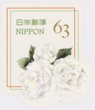 White Rose