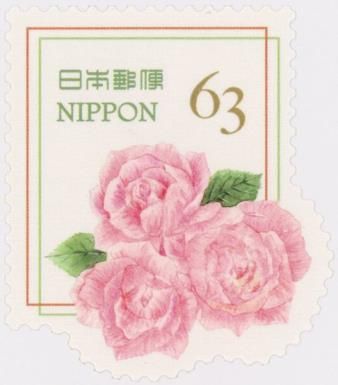 Salmon Pink Rose