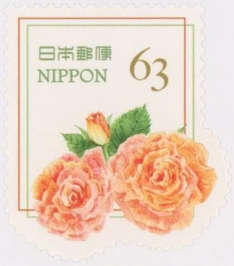 Orange Rose