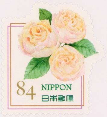 Pale Yellow Rose