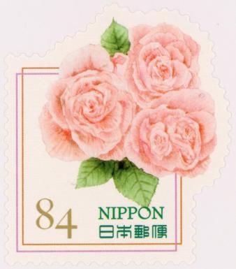 Light Orange Rose