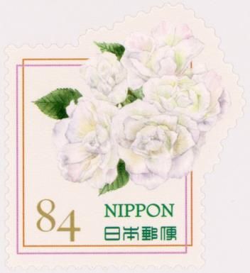 White Rose