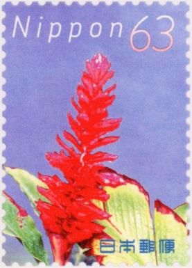 Red Ginger