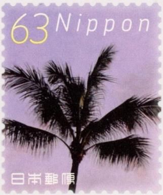 Palm Tree