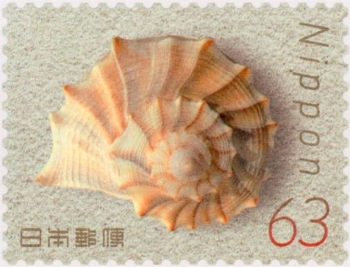 Seashell