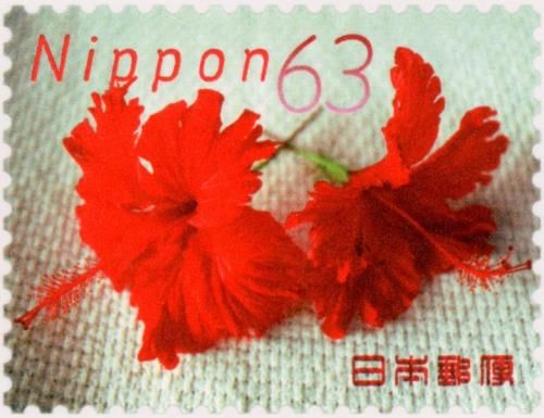 Hibiscus