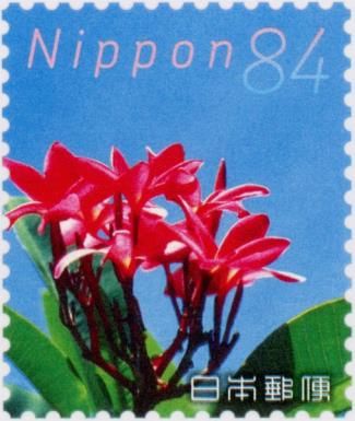 Red Frangipani