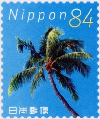 Palm Tree