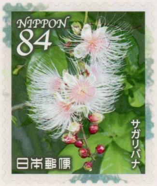 Sagaribana (Barringtonia racemosa)