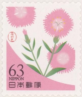 China Pink Blossoms (Dianthus chinensis)