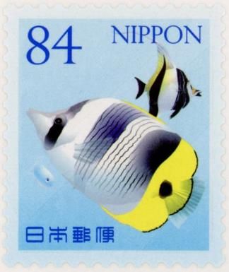 Pacific Double-saddle Butterflyfish and Moorish Idol