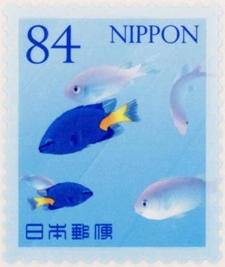 Yellowtail Damselfish and Blue-green Chromis