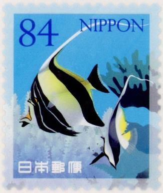 Moorish Idol (Zanclus cornutus)