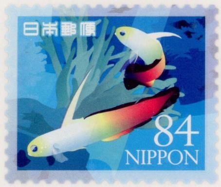 Fire Goby (Nemateleotris magnifica)
