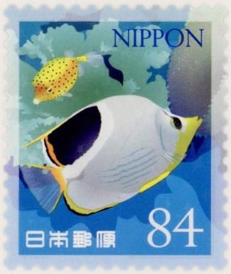 Saddle Butterflyfish and Yellow Boxfish