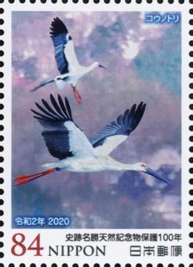 Kōnotori / Oriental White Stork (Ciconia boyciana)