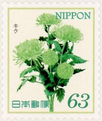 Kiku (Chrysanthemum)