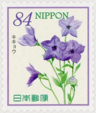 Kikyō (Chinese Bellflower)