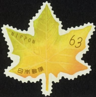 Maple Leaf