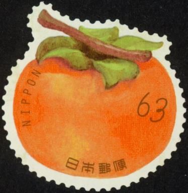 Persimmon