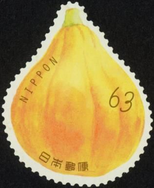 Gourd / Pumpkin