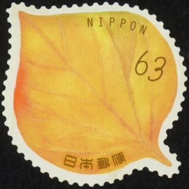 Leaf