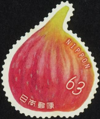 Fig