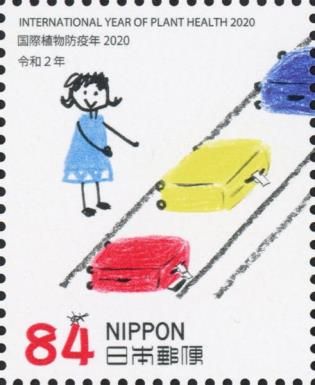 Airport Baggage Claim 3