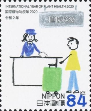 Phytosanitary Counter 2