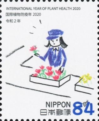 Phytosanitary Counter 4