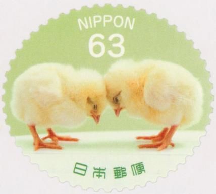 Baby Chicks