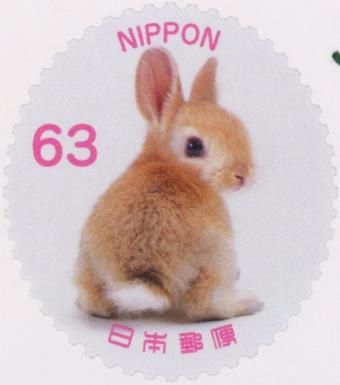 Baby Rabbit