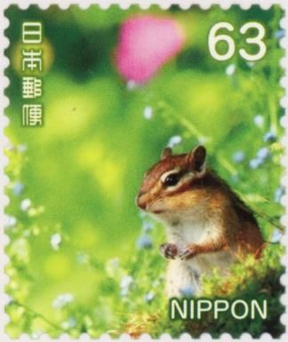Siberian Chipmunk (Eutamias sibiricus)