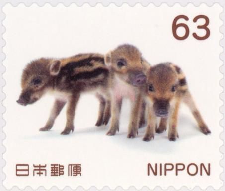 Baby Boars