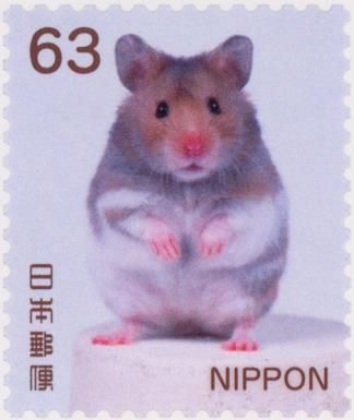 Baby Hamster