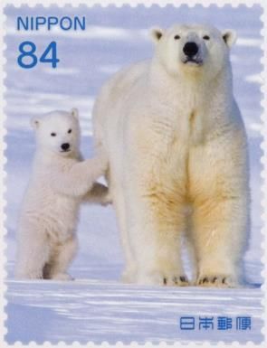Adult and Young Polar Bear