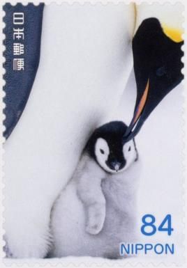 Adult and Young Penguin