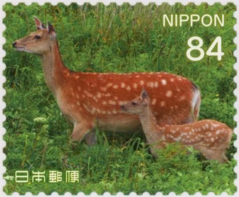 Adult and Young Deer