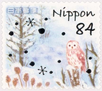 Owl in the Woods