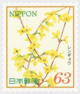 Forsythia