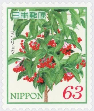 Ardisia crenata