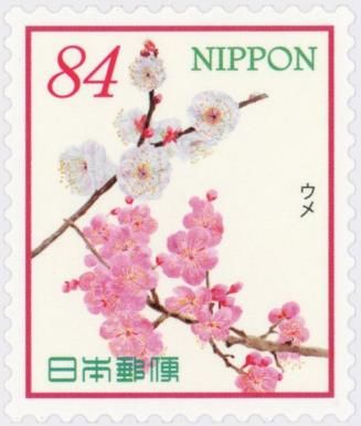 Apricot Blossom